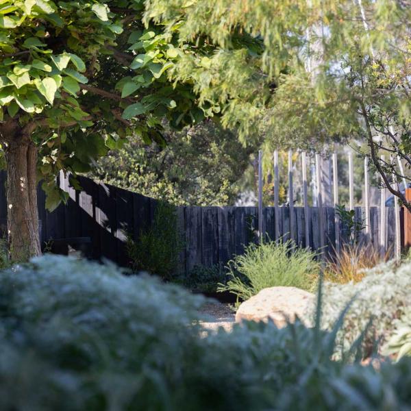 Landscape design in Barwon Heads for contemporary coastal living