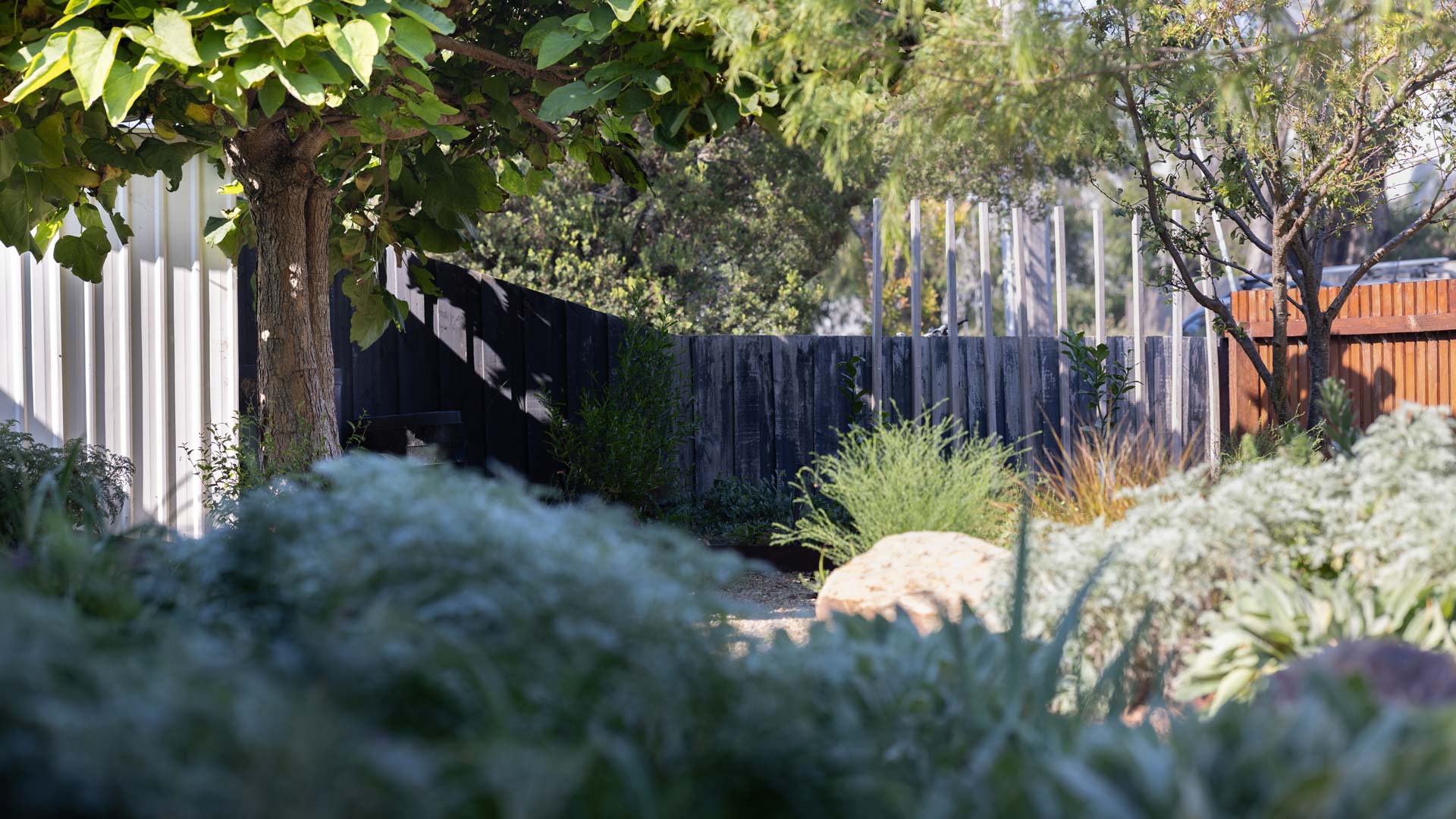 Landscape design in Barwon Heads for contemporary coastal living
