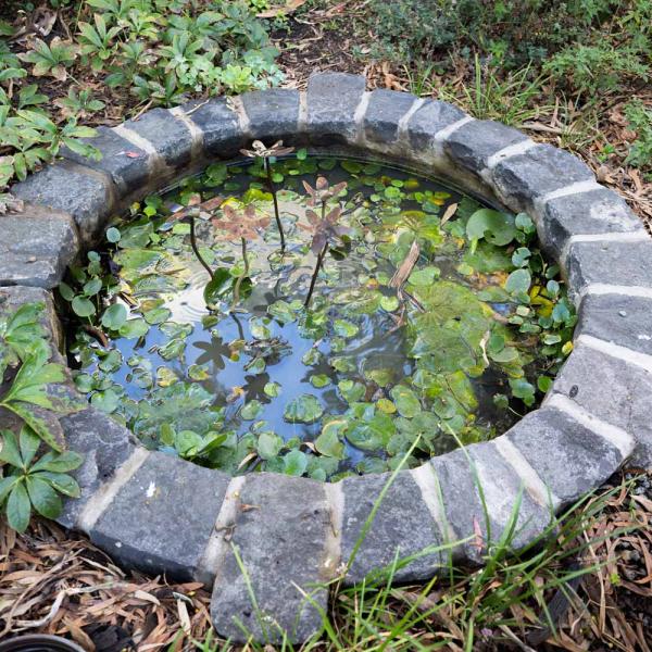 Pond landscaping Coogee Project